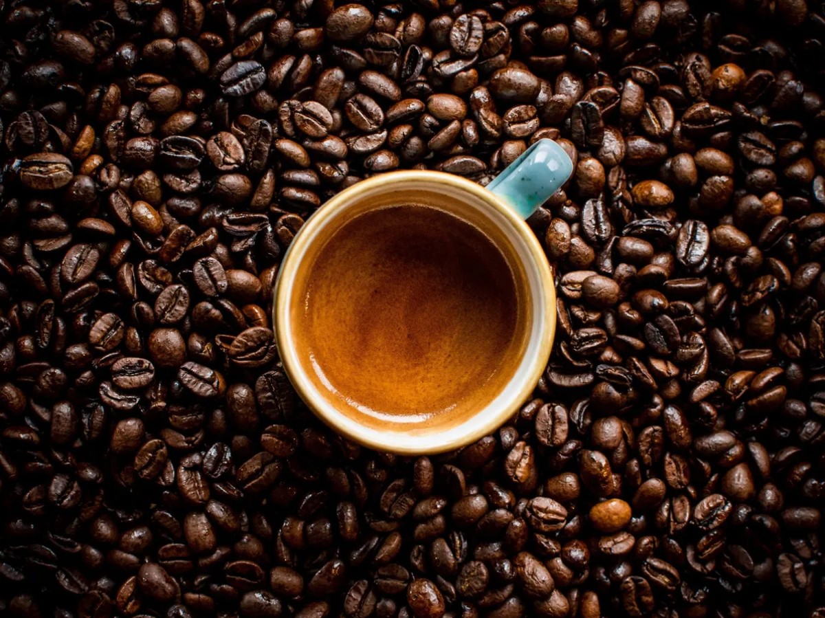Coffee Clash: Kopi Luwak vs. Blue Mountain – A Battle of Beans and Brews!