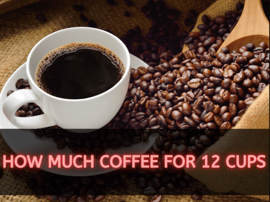 How much coffee for 12 cups?